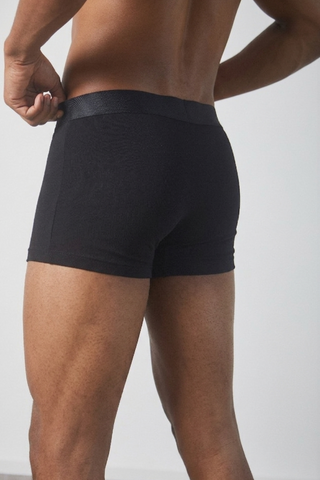 Boxer El Esencial V2