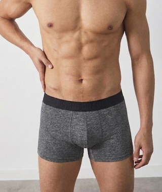 Boxer El Esencial V2